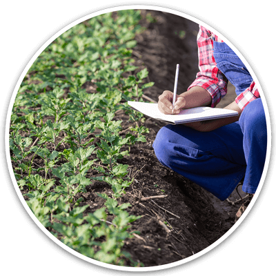 Agricultor agachado en una plantación examinandola mientras escribe en una hoja